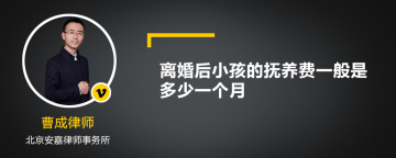 离婚后小孩的抚养费一般是多少一个月