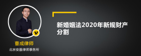 新婚姻法2020年新规财产分割