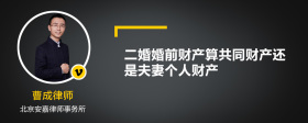 二婚婚前财产算共同财产还是夫妻个人财产