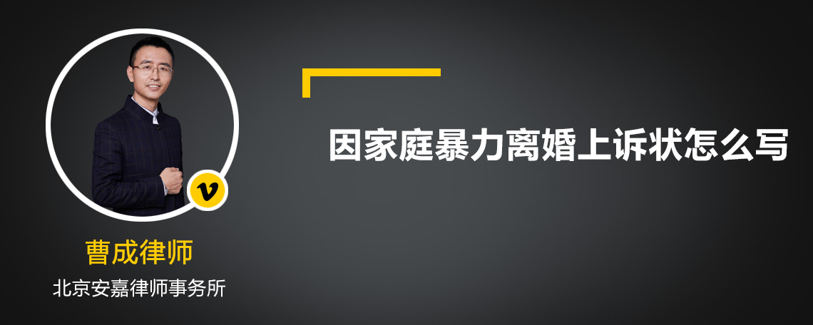 因家庭暴力离婚上诉状怎么写