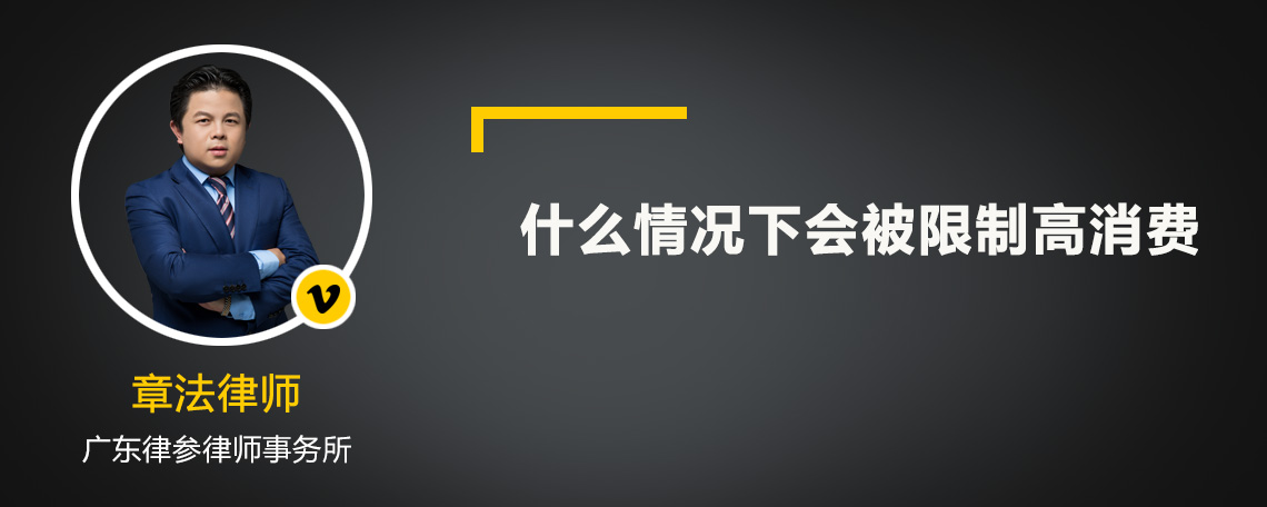 什么情况下会被限制高消费