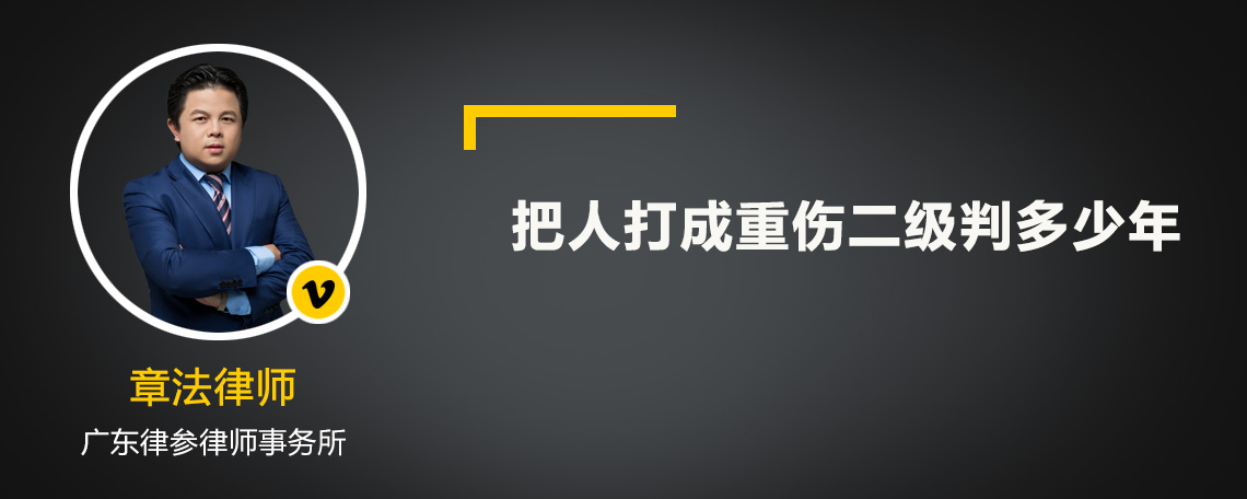 把人打成重伤二级判多少年