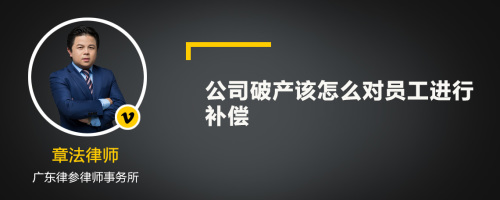 公司破产该怎么对员工进行补偿