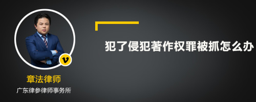 犯了侵犯著作权罪被抓怎么办