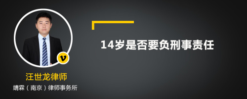 14岁是否要负刑事责任