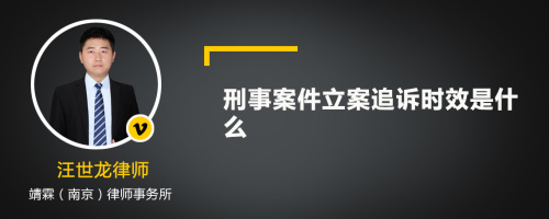 刑事案件立案追诉时效是什么