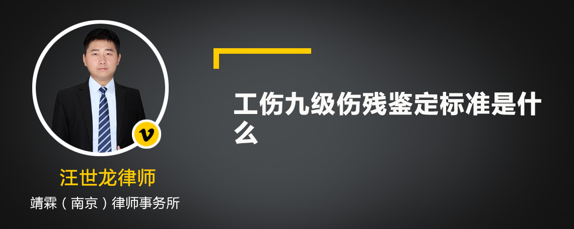 工伤九级伤残鉴定标准是什么