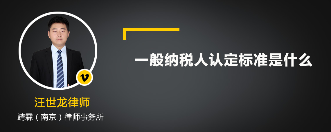 一般纳税人认定标准是什么