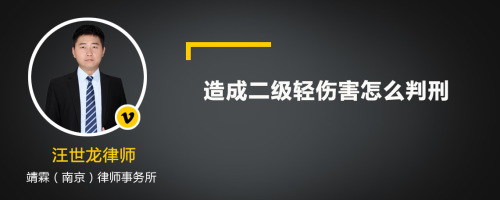 造成二级轻伤害怎么判刑