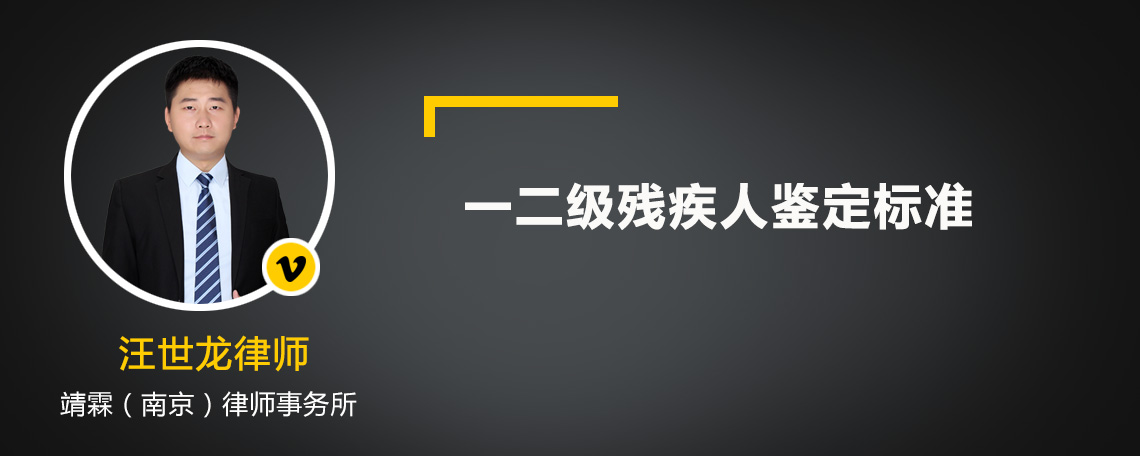 一二级残疾人鉴定标准