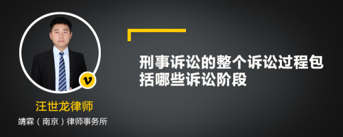 刑事诉讼的整个诉讼过程包括哪些诉讼阶段?