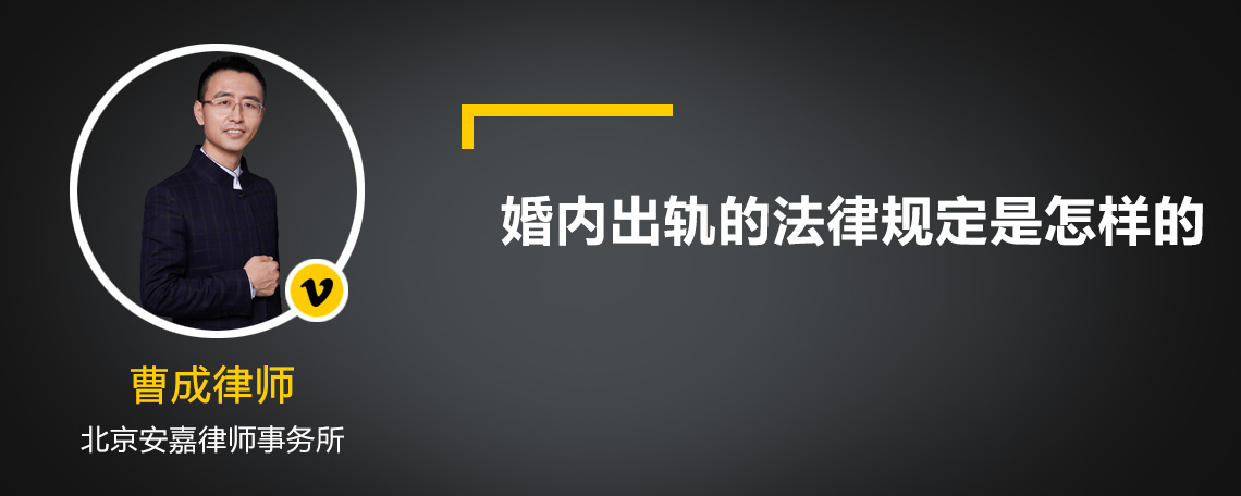 婚内出轨的法律规定是怎样的