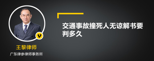 交通事故撞死人无谅解书要判多久