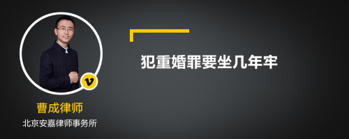 犯重婚罪要坐几年牢