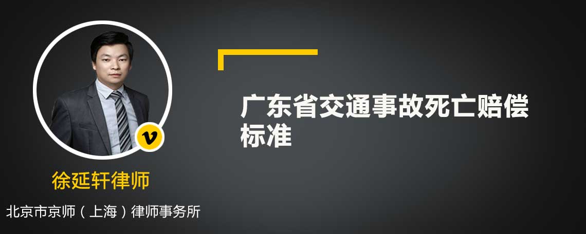 广东省交通事故死亡赔偿标准