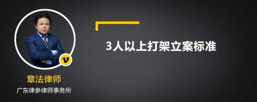 3人以上打架立案标准