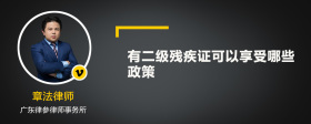 2022年有二级残疾证可以享受哪些政策