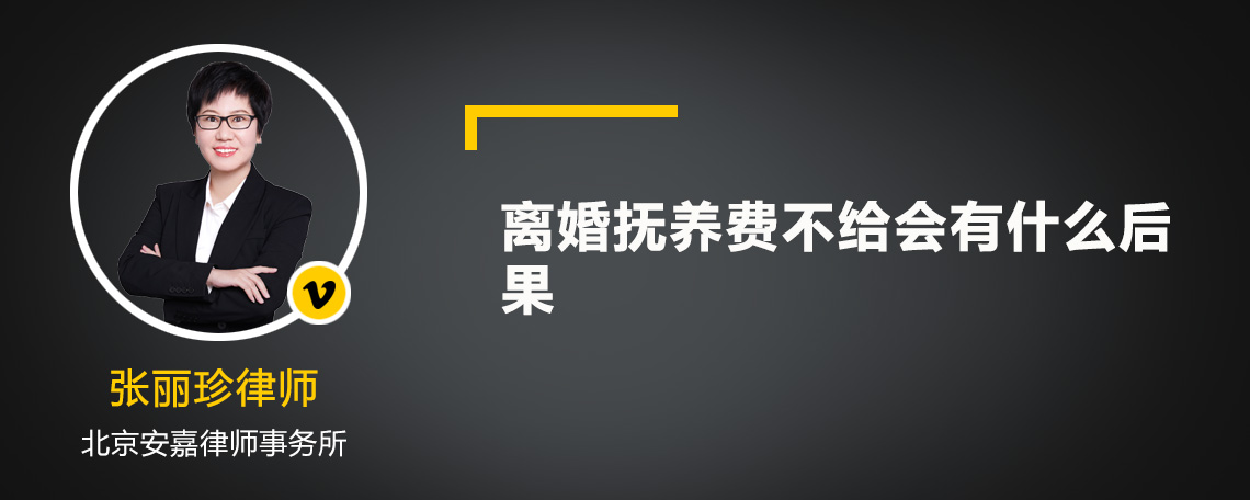 离婚抚养费不给会有什么后果