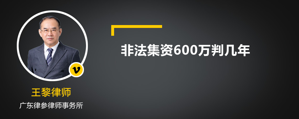 非法集资600万判几年