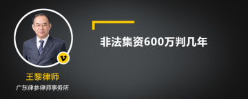 非法集资600万判几年