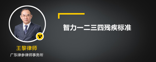 智力一二三四残疾标准