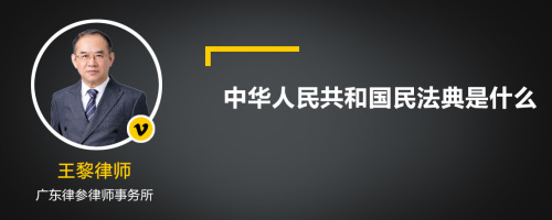 中华人民共和国民法典是什么