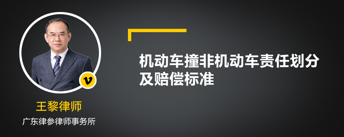 机动车撞非机动车责任划分及赔偿标准