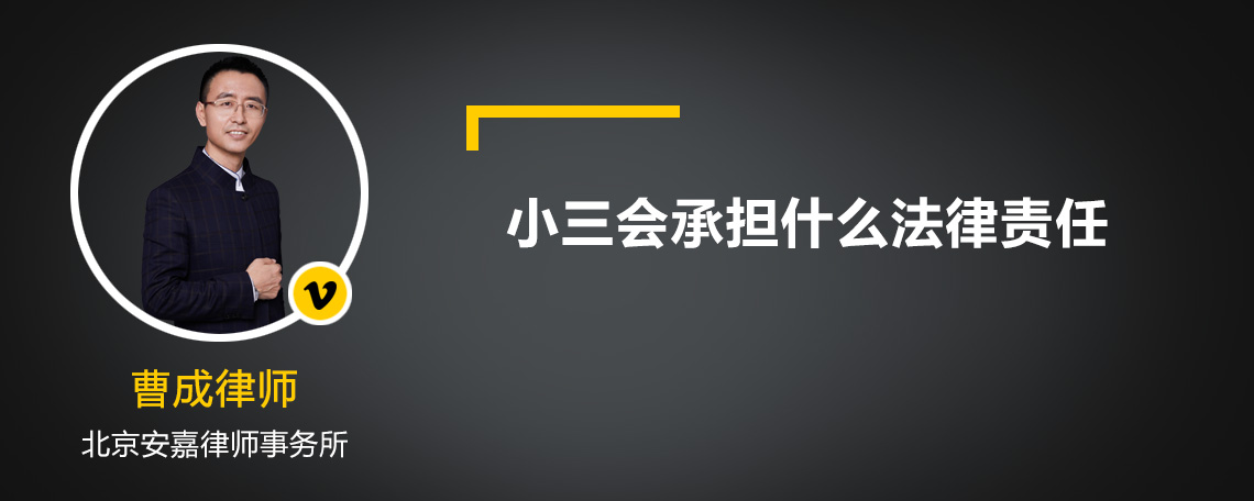 小三会承担什么法律责任