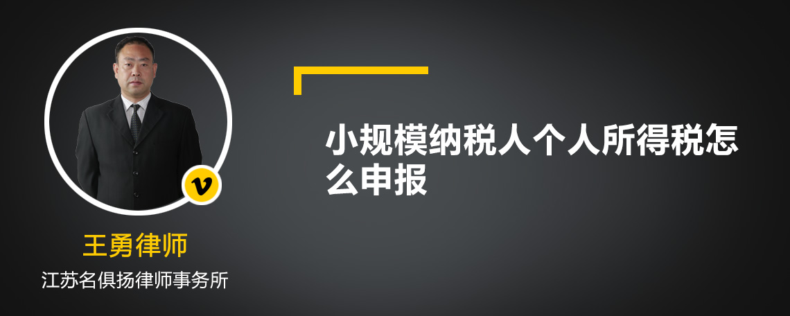 小规模纳税人个人所得税怎么申报