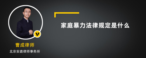 家庭暴力法律规定是什么