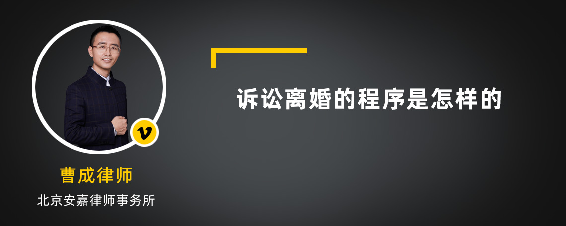 诉讼离婚的程序是怎样的