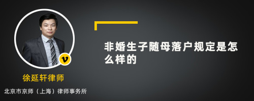 非婚生子随母落户规定是怎么样的