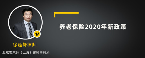 养老保险2020年新政策