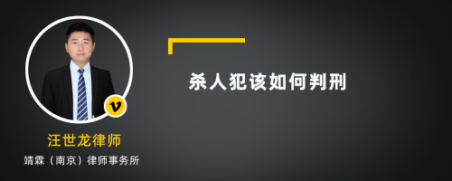 杀人犯该如何判刑