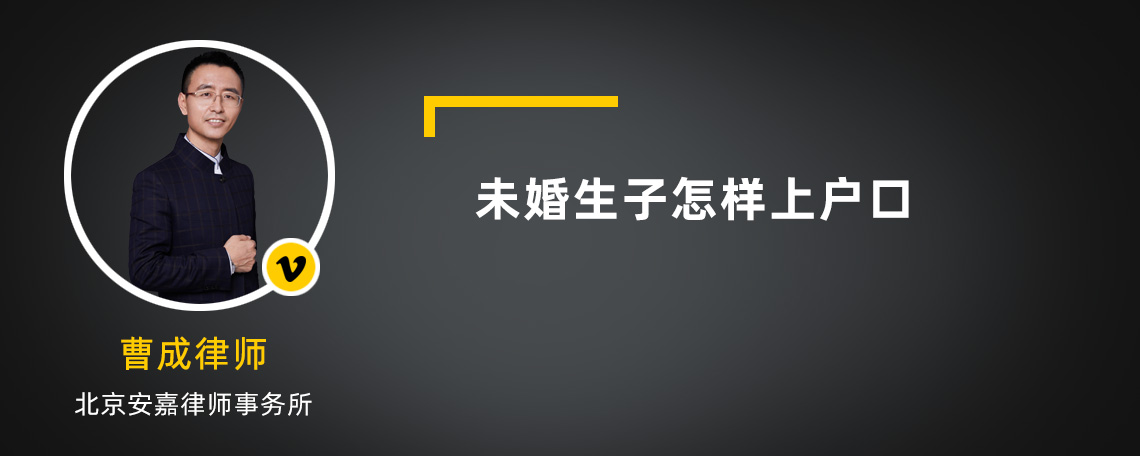 未婚生子怎样上户口