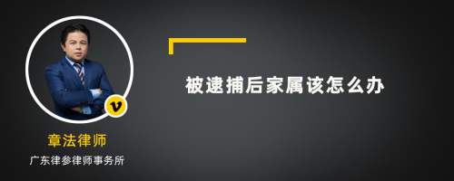 被逮捕后家属该怎么办