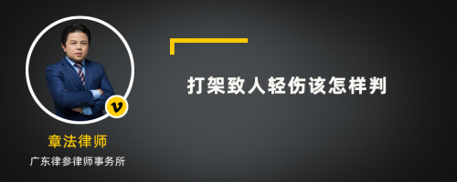 打架致人轻伤该怎样判