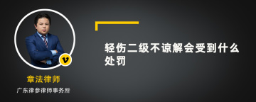 轻伤二级不谅解会受到什么处罚