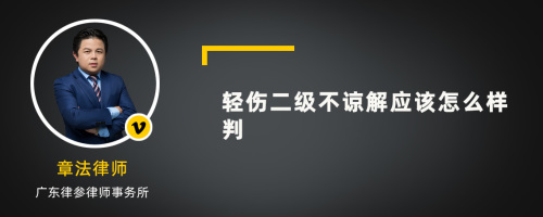 轻伤二级不谅解应该怎么样判