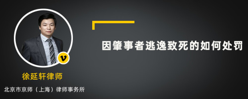 因肇事者逃逸致死的如何处罚