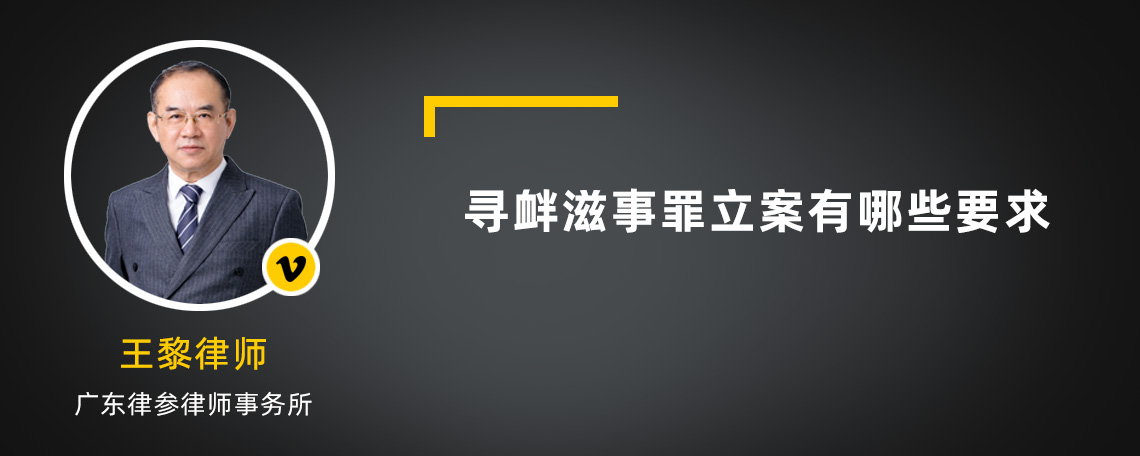 寻衅滋事罪立案有哪些要求