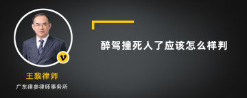 醉驾撞死人了应该怎么样判