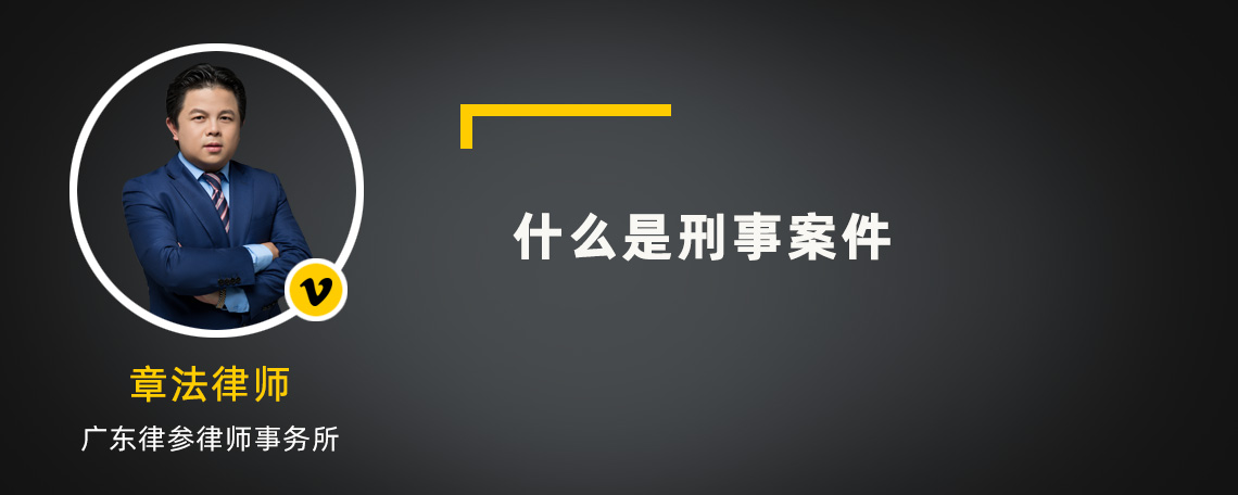 什么是刑事案件