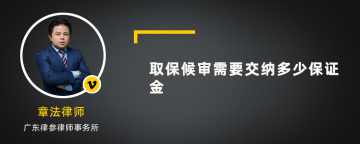 取保候审需要交纳多少保证金