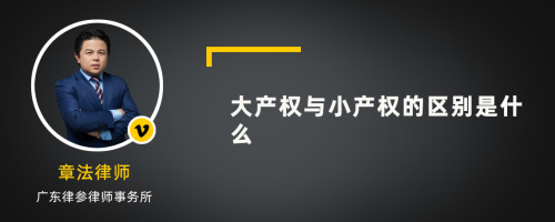 大产权与小产权的区别是什么