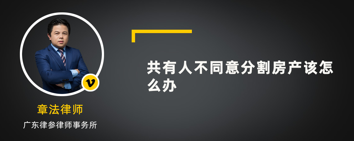 共有人不同意分割房产该怎么办