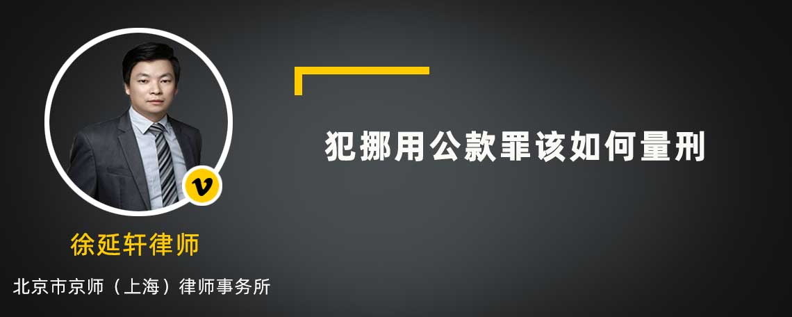 犯挪用公款罪该如何量刑