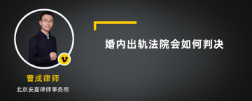 婚内出轨法院会如何判决