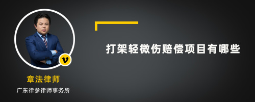 打架轻微伤赔偿项目有哪些