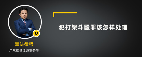 犯打架斗殴罪该怎样处理